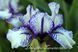 Mini Stitch / Міні Стіч 1222288701 фото 2